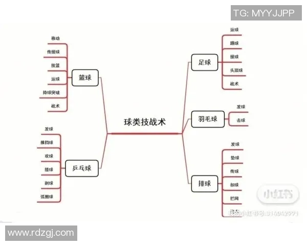 深圳篮球队快攻体系解析与战术运用探讨 深圳篮球队快攻体系解析与战术运用探讨